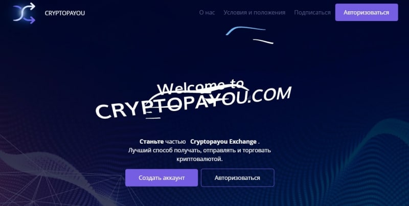 Cryptopayou: отзывы о платформе, предложения и возможности
