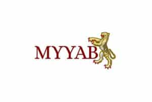Можно ли заработать с MYYAB? Обзор брокера и отзывы трейдеров