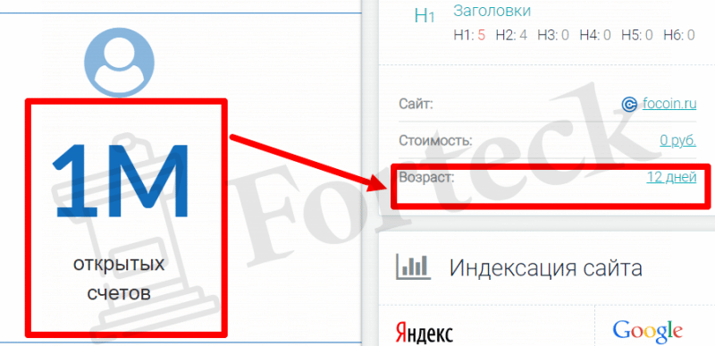 FOCOIN (focoin.ru) кошелек мошенников!
