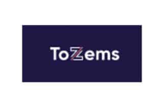 Tozems: отзывы, обзор предложений и деятельности компании