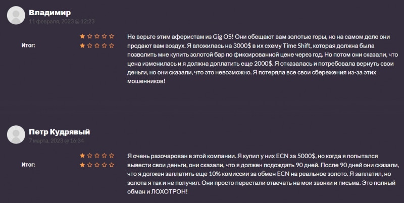 Основная информация о Gig OS говорит, что перед нами некий ХАЙП или опасный брокер?