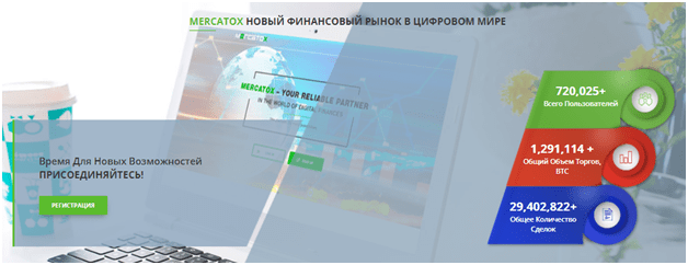 Вся информация о компании MERCATOX