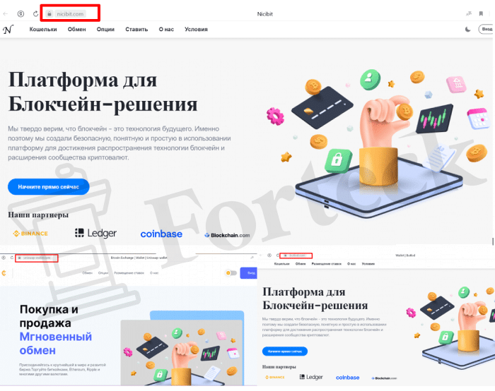 Nicibit (nicibit.com) обзор схемы обмана!