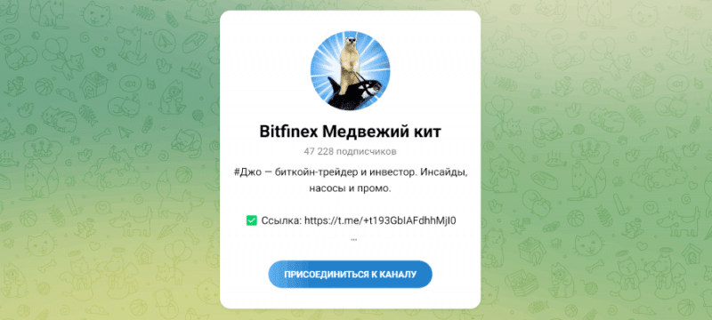 Bitfinex Bearwhale (t.me/+DHuQOuSBPRdlMzlk, t.me/+t193GbIAFdhhMjI0) почему не стоит связываться?