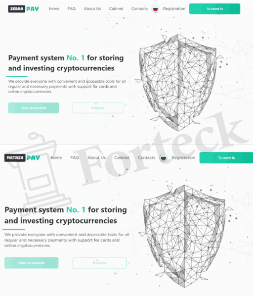 ZEBRA PAY (zebra-pay.xyz) фейковая платежная система!