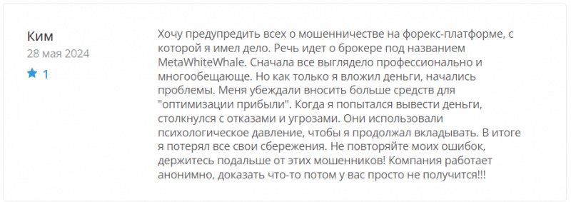 MetaWhiteWhale отзывы. Это развод?