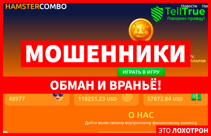 Hamster-Combo (hamster-combo.cc): обзор и отзывы