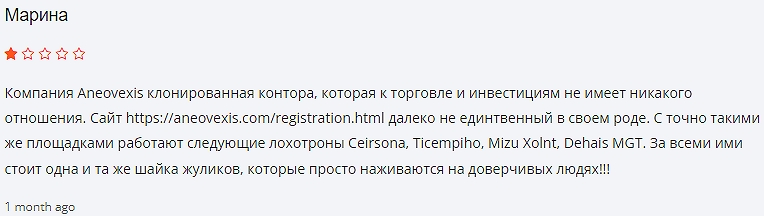 Aneovexis — финансовые услуги для трейдеров, отзывы о брокере «Анеовексис»